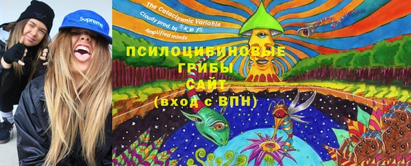 apvp Армянск