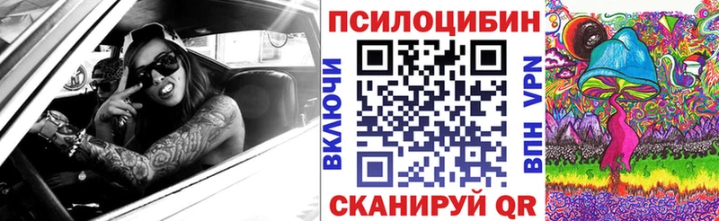 Галлюциногенные грибы Psilocybe  Купить где  Олонец 